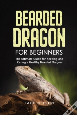 Capa do artigo Bearded Dragon For Beginners