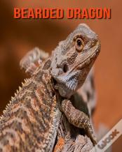 Bearded Dragon
