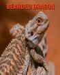 Bearded Dragon - Preview