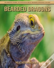 Capa do artigo Bearded Dragons
