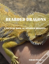 Bearded Dragons Picture Book