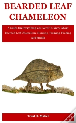 Capa do artigo Bearded Leaf Chameleon
