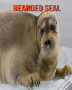 Capa do artigo Bearded Seal