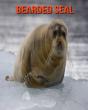 Bearded Seal - Preview