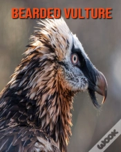 Capa do artigo Bearded Vulture