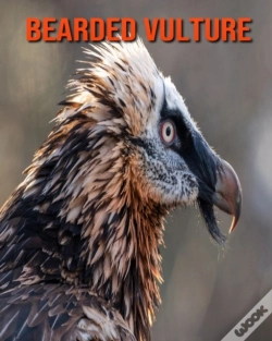 Capa do artigo Bearded Vulture