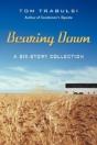 Bearing Down - Preview