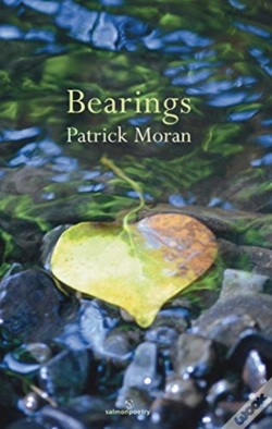 Capa do artigo Bearings