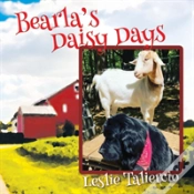 Capa do artigo Bearla