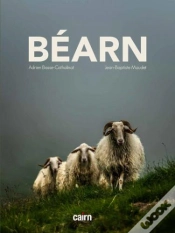 Capa do artigo Bearn