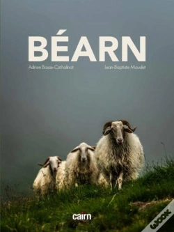 Capa do artigo Bearn