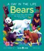 Bears (A Day In The Life) - Preview