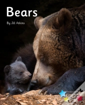 Bears