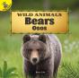 Bears - Preview