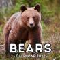 Bears Calendar 2022 - Preview