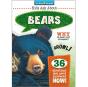 Bears - Preview