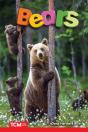 Bears - Preview