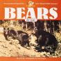 Bears For Kids - Preview