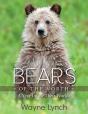 Bears Of The North - Preview