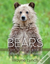 Capa do artigo Bears Of The North