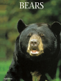 Bears - Preview
