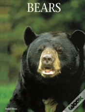 Capa do artigo Bears