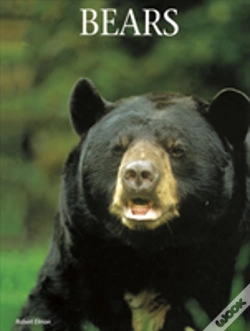 Capa do artigo Bears