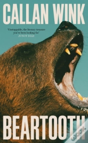 Capa do artigo Beartooth