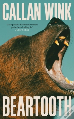 Capa do artigo Beartooth