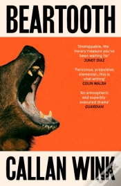 Capa do artigo Beartooth