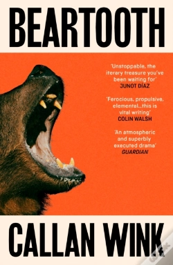 Capa do artigo Beartooth