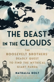 Capa do artigo Beast In The Clouds