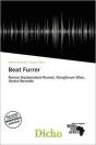 Beat Furrer - Preview