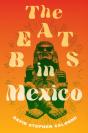 Beats In Mexico - Preview