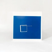 Capa do artigo Beaucoup Fish - Vinil