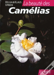 Capa do artigo Beaute Des Camelias