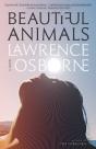 Beautiful Animals - Preview