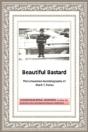 Beautiful Bastard - Preview