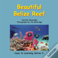 Beautiful Belize Reef