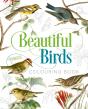 Beautiful Birds Colouring Book - Preview