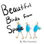 Beautiful Birds From Space - Preview