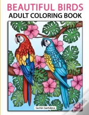 Capa do artigo Beautiful Birds