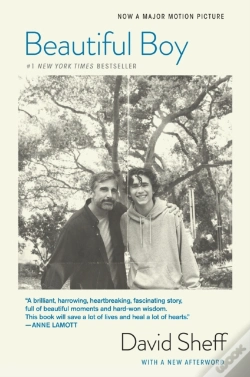 Capa do artigo Beautiful Boy