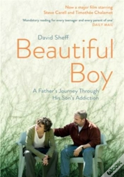Capa do artigo Beautiful Boy