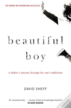 Capa do artigo Beautiful Boy