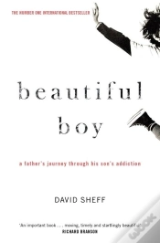 Capa do artigo Beautiful Boy