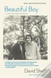 Capa do artigo Beautiful Boy (Tie-In)