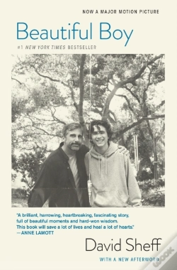 Capa do artigo Beautiful Boy (Tie-In)