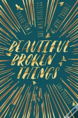 Capa do artigo Beautiful Broken Things