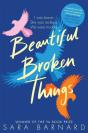 Beautiful Broken Things - Preview